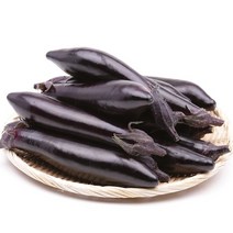 가지1kg 팔팔마켓 국산 생 가지나물, kg