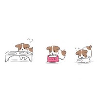 소형견 강아지 스텐 높이 사료 밥그릇 밥상 반려견 물그릇 애견식기 수반 고양이식판, 1개, 소