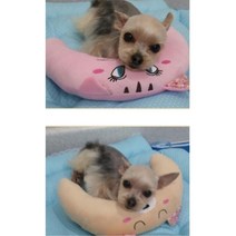 아기 반려견 이갈이 베개 장난감 소형견 3개 혼자둘때 놀이기구 선물 암컷