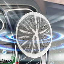 참숯 차량용 탈취제 자동차 실내 냄새제거 새차선물, 쿠팡 본상품선택