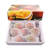농장직송 고당도 제주산 애플망고 3kg, 1박스, 애플망고 3kg(7~8과)