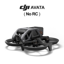 입문용 드론 가성비 촬영용 고글 스마트 콤보 비디오 전송 듀얼 마이크로 스크린 컴팩트, 13.Avata (No RC) - Standard Se
