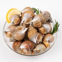 엄마농수산 생물 골뱅이 백골뱅이 백고동 탕 무침 비빔면 1kg 500g, 1kg 중 (40미 내외)