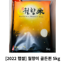 [2022년산 햅쌀] 국산쌀 월향미 골든퀸 5kg 소포장 쌀 찰진쌀 백미 쫄깃한쌀 소용량쌀 500g 10개 개별포장 밥맛좋은 소포장쌀 골드퀸쌀, 5kg (500g x 10개)