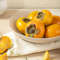 23년 가을 단감 달콤아삭 진영단감, 2kg / 소과 / 16과 내외, 1개