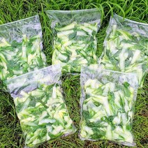건강의정석 국내산 삶은 얼갈이 우거지 1kg 제철 얼갈이배추를 손질해서 만든 우거지, 1개