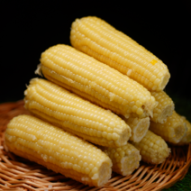 특상 사이즈 홍찰 백찰 옥수수 10개, 50개, 홍찰 옥수수 (소 10-15cm 내외)