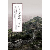 나의 문화유산답사기 10: 서울편(2):유주학선 무주학불, 창비