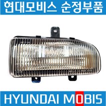 현대모비스 순정 전방 안개등(포그램프) 좌측 (922016B000) 메가트럭 메가 트럭 특장, 1개