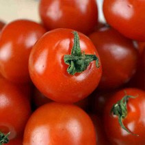 [햇땅] 명품 방울토마토1kg 500g x 2팩 (1~3번), 단품