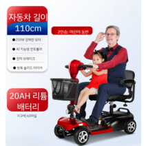 노인 스쿠터 4륜 접이식 전기 자동차 장애인 접이식 2인 오토바이, 9 2인승 20Ah 리튬 약60리 250W모터, 24V