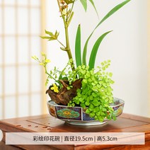 동양 꽃병 수반 꽃꽂이 도자기 침봉 세트 세라믹 화기 화병, AU