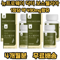 뉴트로웨이 닥터 보스웰리아 1000 식 약 처 인증 인도산 결정 셀룰로오스 우슬추출 분말 초록입홍합분말 히알루론산 혼합분말 엽산 산화아연 비타민 푸마르산제일철, 4개