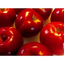 나씨네 빨간 홍옥 사과 4kg 햇사과, 정품 4kg(25과내외)
