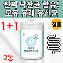 19종 안전한 낙산균 모유 유래 유산균 분말 가루 프락토올리고당 L 프롤린 가세리 루테리 락토바실러스 모유수유 아빠 엄마 온가족 20대 30대 40대 50대 60대 유산균 추천, 1+1통