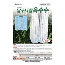 [다농] 달구나찰옥수수씨앗 70립[UR], 상세 설명 참조
