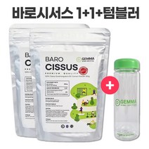 바로시서스 시서스가루 250g 1+1 50배 고농축 텀블러 증정 특급배송 시서스분말 24개월분