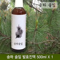 송하솔잎효소 솔잎효소 솔잎발효진액 500ml 전통발효진액 액상효소, 1병