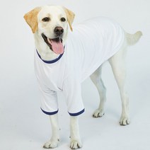 럭키페터 링거 강아지 옷 소형견 대형견 티셔츠 화이트 시리즈, 화이트/네이비
