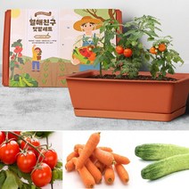 베란다텃밭 채소키우기 화분세트 가정용텃밭 미니텃밭 실내텃밭 실내화분 식물키우기 실내정원 아, 상세페이지 참조