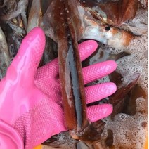 원양산 포클랜드 오징어 급냉, 오징어(급냉/원양산)1kg