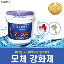 칠만표방수제 CMW-8 모체강화제 20L