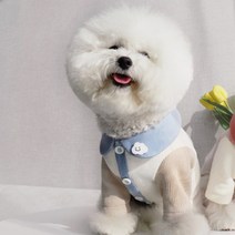 [말랑콩떡] 강아지 카라 맨투맨 뭉게뭉게 구름 티셔츠, 블루