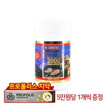 그린탑 그린탑 초록입홍합 2000mg 300캡슐, 1개, 300정
