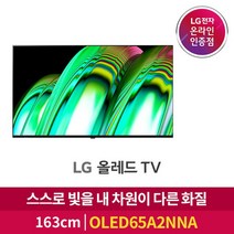 [LG] 올레드 TV 벽걸이형 OLED65A2NNA [163cm], 없음