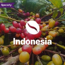 인도네시아 만델링 G1 10kg 아라비카 커피 생두 Indonesia Aceh Mandheling G1 Triple-Pick/유기농 organic, 1kg, 1개