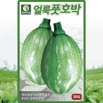 다농 얼룩풋호박씨앗 30립, 1개