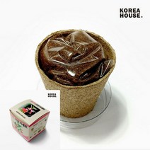 TYDL 봉선화 키우기세트