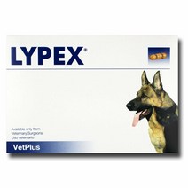킹펫 벳플러스 vetplus 라이펙스 60캡슐
