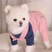 기타 바보사랑[디작소] 강아지옷 티셔츠 실내복 애견의류 니트 올인원, PINKXL