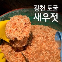 내고향농수산 국내산 광천 토굴 새우젓 추젓 육젓 동백하젓 김장용 새우젓 양념 새우젓, 오젓, 500g 특, 1개, 500g