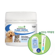 플라그 컨트롤 파우더 100g 오리지널 PET 구강관리, 단품