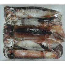 채낚기 오징어 5마리 초코 오징어 국내산 급속냉동
