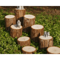 통나무 인테리어 실내 정원 전원주택 화단 경계목, 지름 11-12cm 높이 4cm