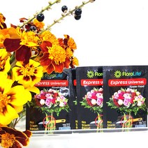(50+1) 꽃의 생기를 오래 보존/절화수명연장제/사쉘 5ml x 50개 무료배송/플로라라이프