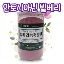 빌베리농축분말350g 안토시아닌 눈이침침할때좋은음식 청소년 성인 중년 노인 부모님 어린이 선물