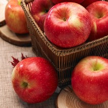 양광 사과 5kg(11-13과) [초록자연], 상세페이지 참조