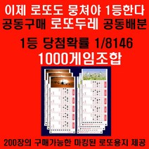 로또 첫번째 조합부터 맨 마지막 8145060조합중 특정위치부터 1000개의 마킹된 로또용지상품 1등당첨확률 1/8146