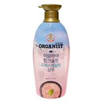 오가니스트 히말라야 핑크솔트 담은 샴푸 두피 스케일링, 500ml, 500g, 1개