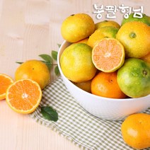 제주 하우스감귤 소과 41-60과 2.5kg 가정용, 없음