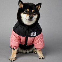 2023 SUPREPET패딩 개 겨울 옷 따뜻한 방풍 솔리드 코트 코튼 디자이너 대형 강아지 액세서리, 분홍색+XXXL