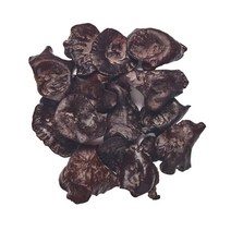 털목이버섯 1kg (200g x 5팩) - 우리품종 경기버섯, 5개