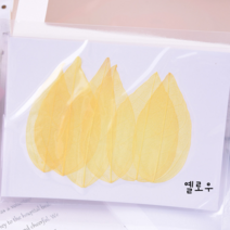 [드그라쎄] 캔들만들기 DIY재료, 34.프리저브드 스켈레톤 (옐로우)