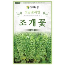 풍접초 혼색 200립 - 야생화 고급 씨앗 꽃씨 씨 꽃씨앗 풍접초씨앗 풍접초씨 족두리꽃 클레오메 백화채 양각채, 13_다농_조개꽃(50립)