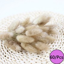 미니화분 자연 말린 꽃 토끼 꼬리 팜파스 갈대 꽃다발 웨딩 파티 장식 식물 3 개 구매시 1 무료 제, 01 R1