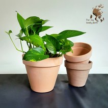 데로마 바소 23cm 27cm 이태리 토분 화분 고급 인테리어 토분, 화이트, 1개